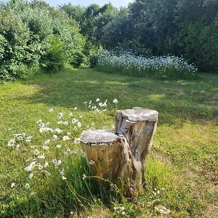 Nocleg ze śniadaniem Ocean Breeze 4*