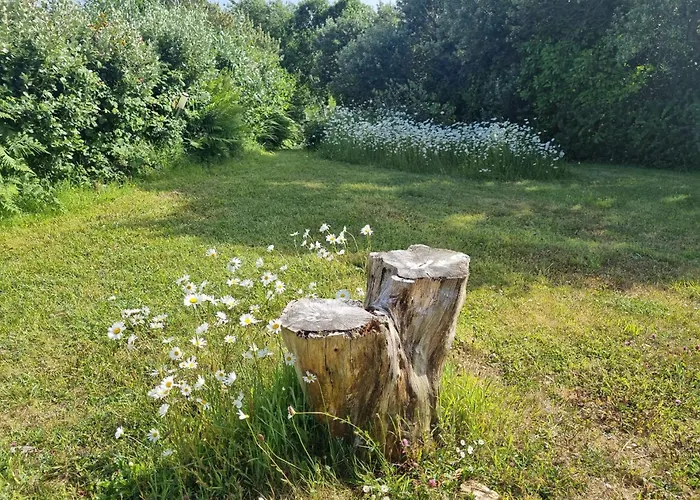 Bed & Breakfast Ocean Breeze 4*